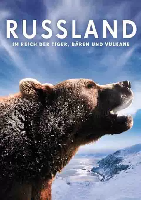俄罗斯——在老虎，熊和火山之间