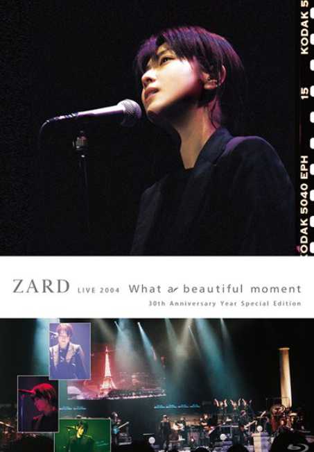 ZARD：What a beautiful moment Tour