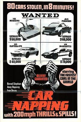Car-Napping - Bestellt, geklaut, geliefert