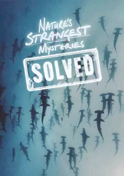 自然界最奇怪的谜题