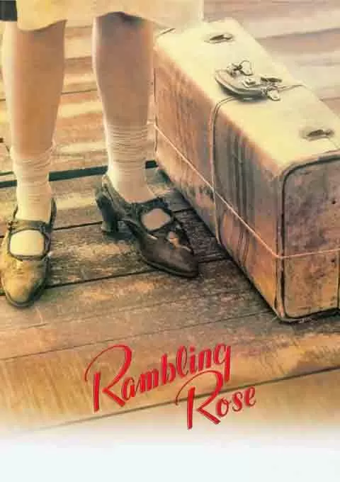 容易受伤的玫瑰